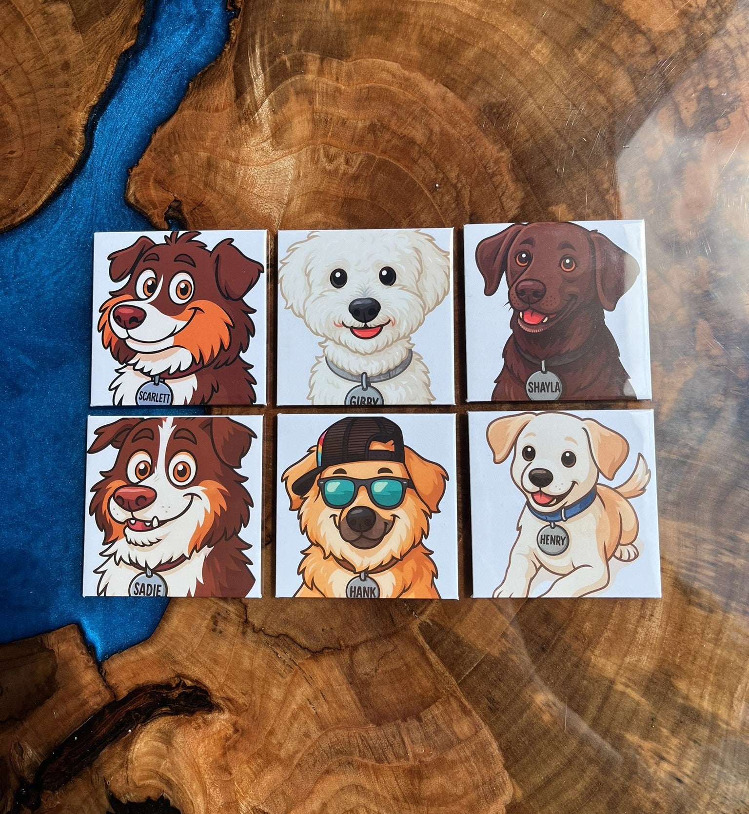 Bundle of 6 Cartoon Pet Magnets
