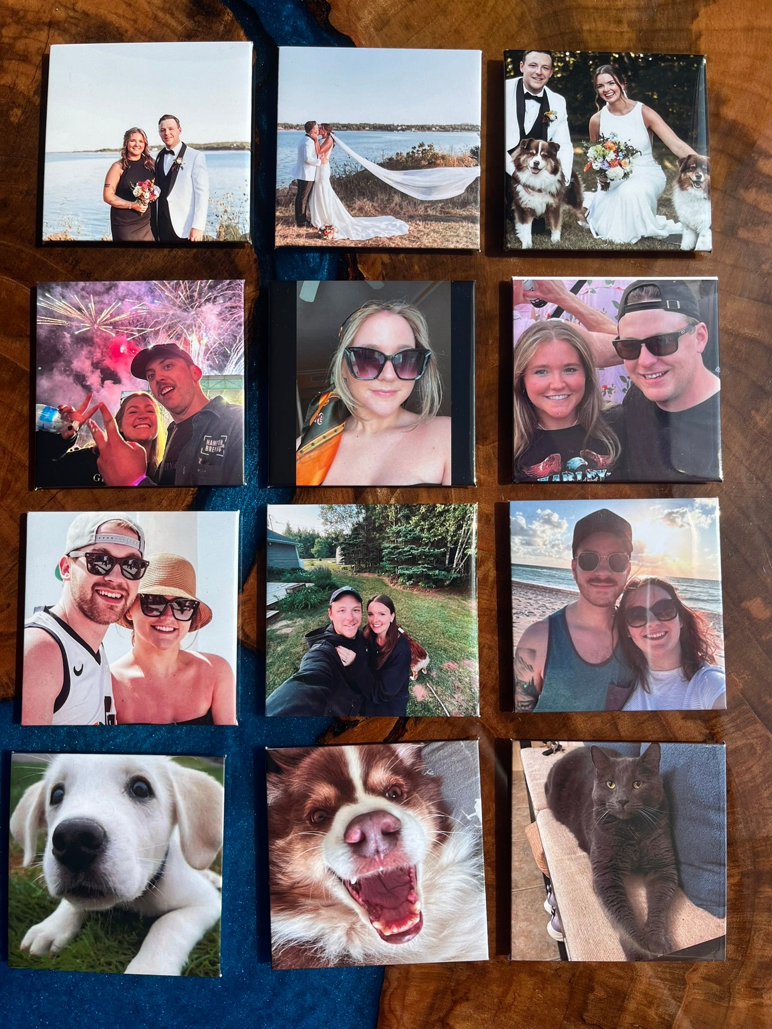 Bundle of 12 Photo Magnets