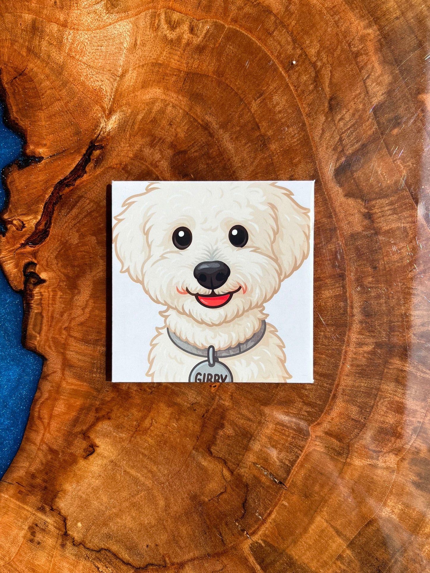 1 Cartoon Pet Magnet
