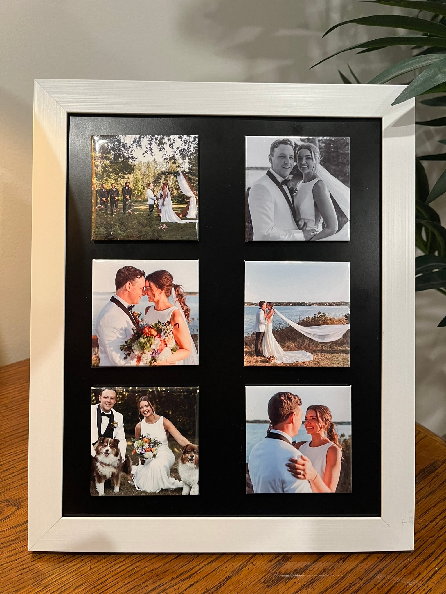 Bundle of 12 Photo Magnets