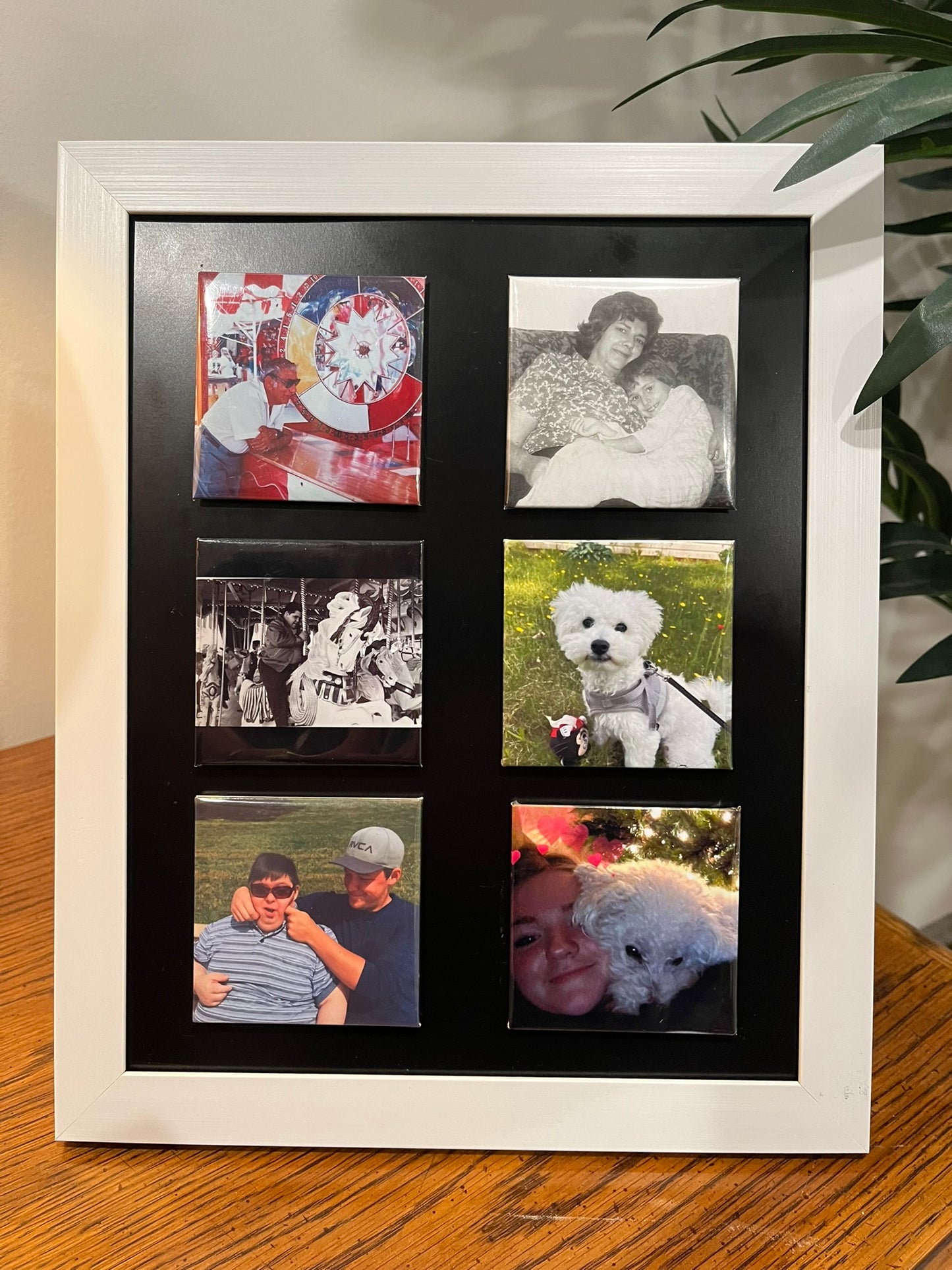 Bundle of 12 Photo Magnets